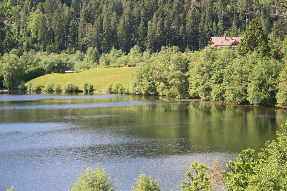 lac de gerardmer